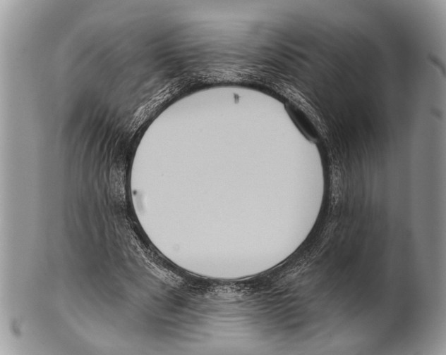 X0000101140489200807251029