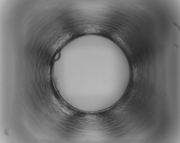 X0000101140490200807251029