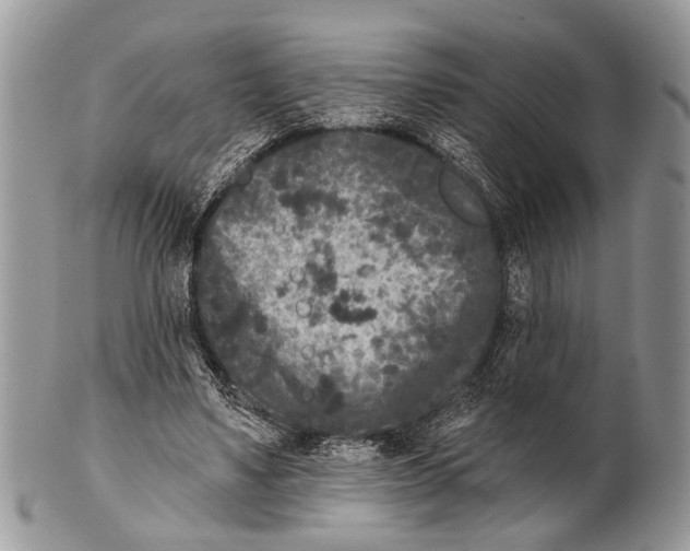 X0000101140491200807251029