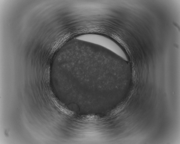 X0000101140493200807251029