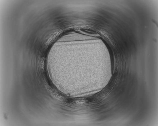 X0000101140495200807251029