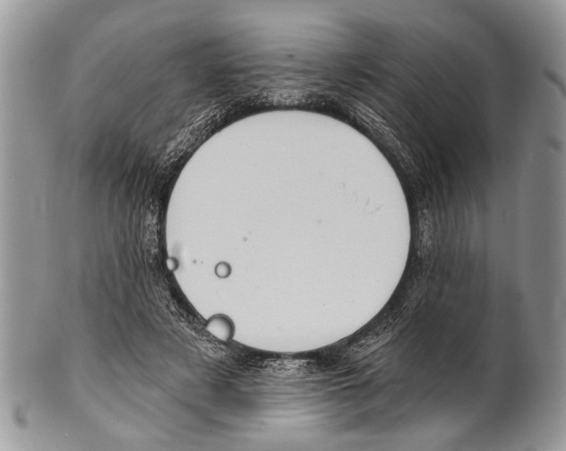 X0000101140497200807251029