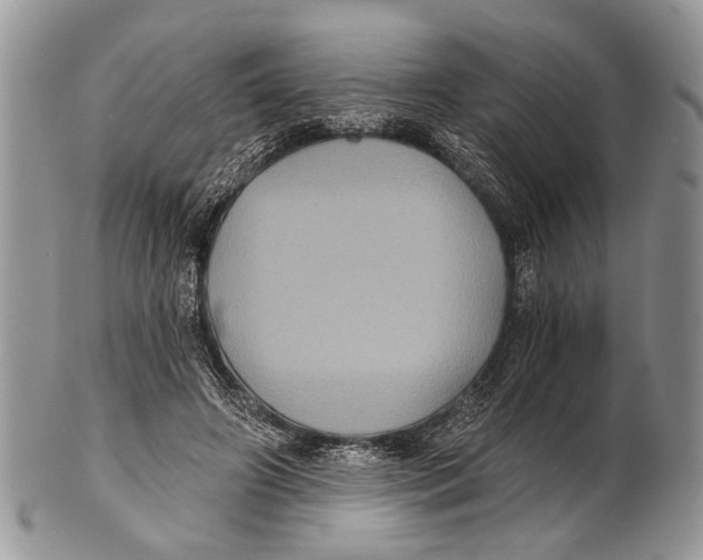 X0000101140498200807251029