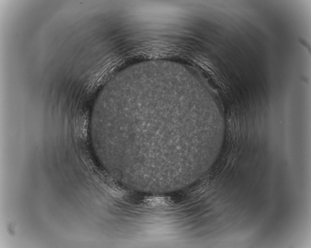 X0000101140499200807251029