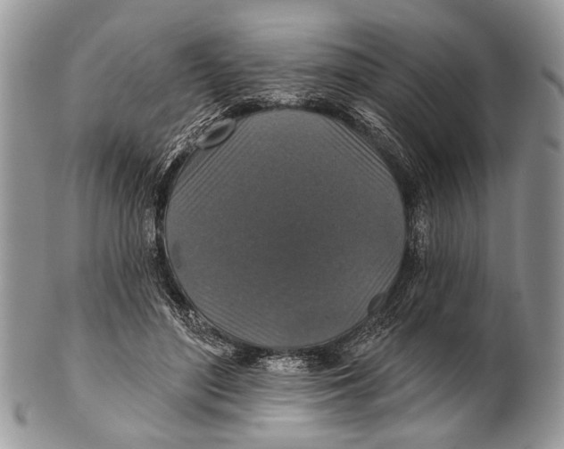 X0000101140500200807251029