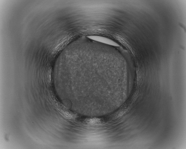 X0000101140501200807251029