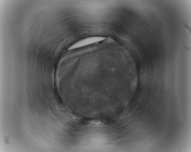 X0000101140502200807251029