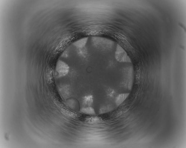 X0000101140503200807251029