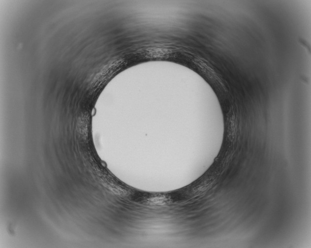 X0000101140505200807251029