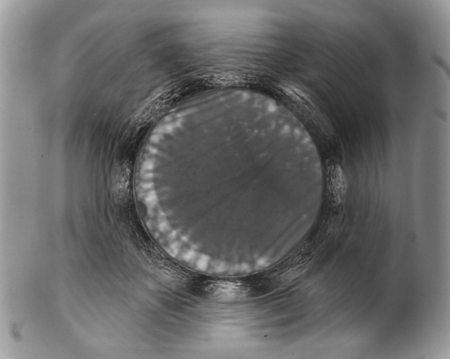 X0000101140507200807251029