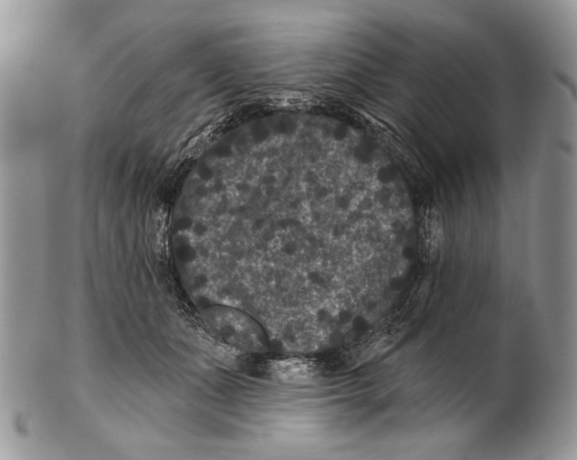 X0000101140511200807251029