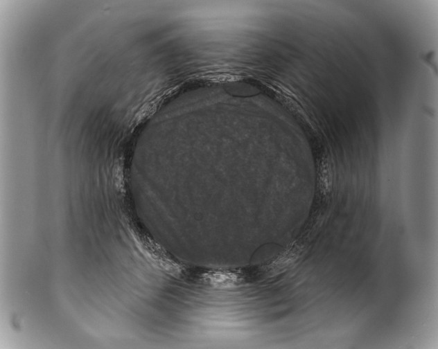 X0000101140512200807251029