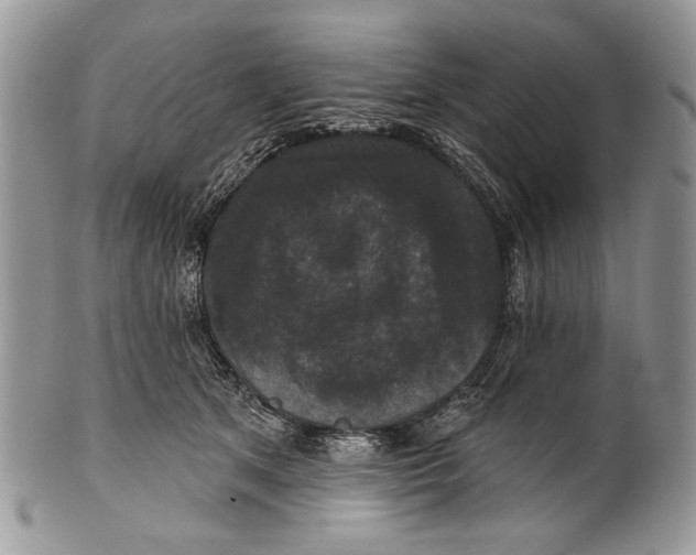 X0000101140513200807251029