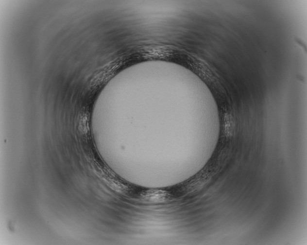 X0000101140514200807251029