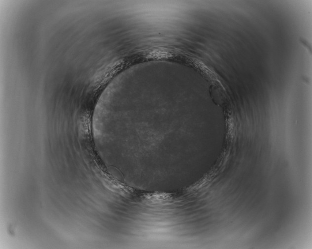 X0000101140517200807251029