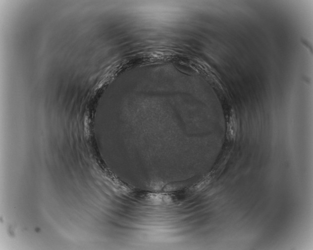 X0000101140520200807251029