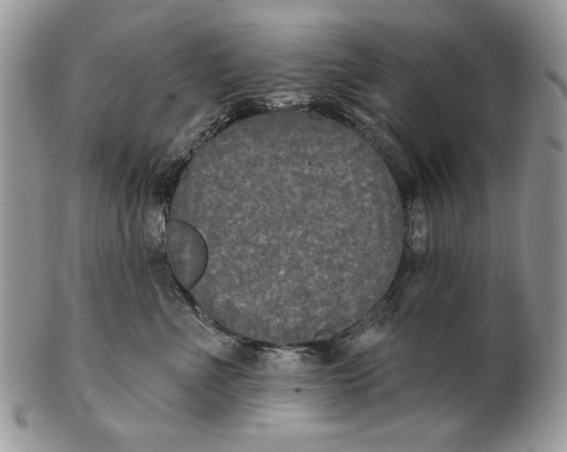 X0000101140523200807251029