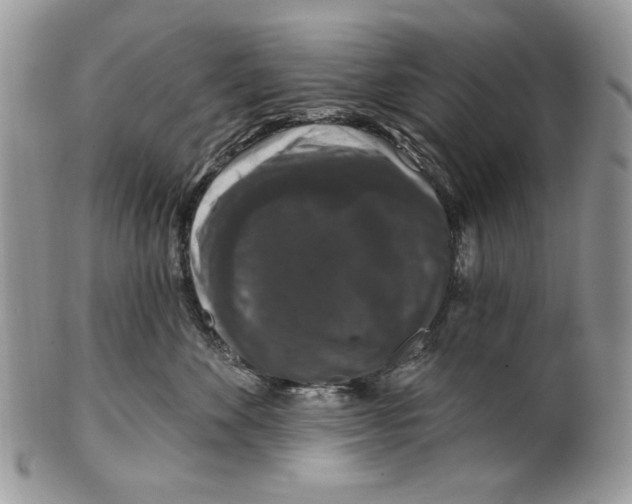 X0000101140524200807251029