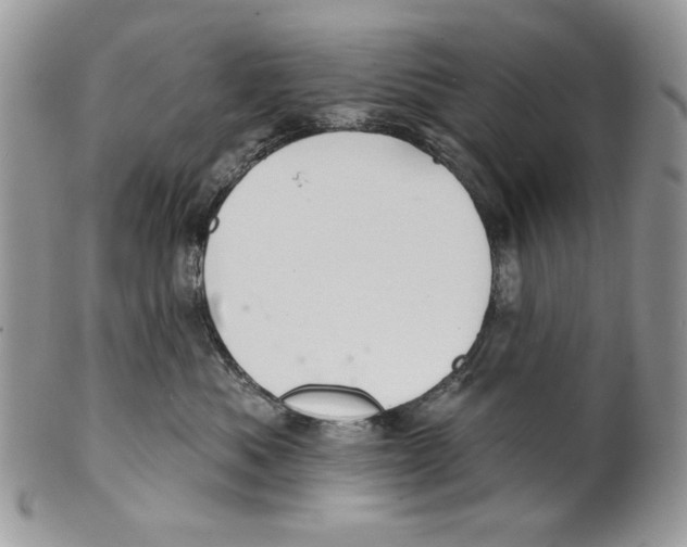 X0000101140525200807251028