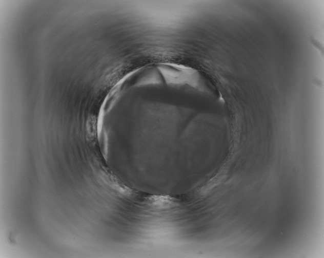 X0000101140528200807251028