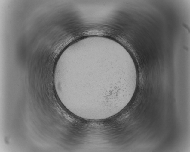 X0000101140529200807251028