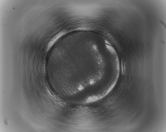 X0000101140531200807251028