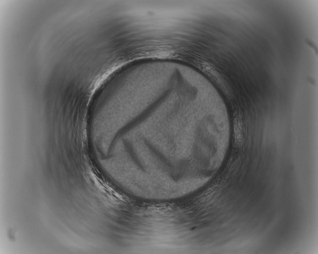 X0000101140532200807251028