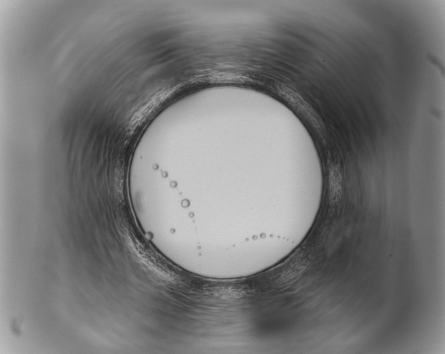 X0000101140533200807251028