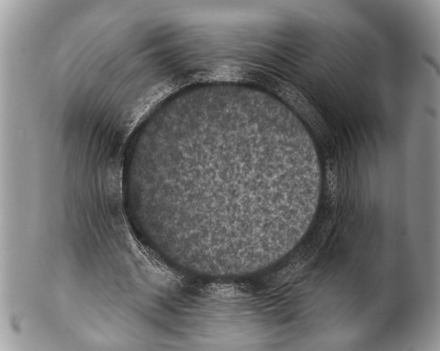 X0000101140534200807251028