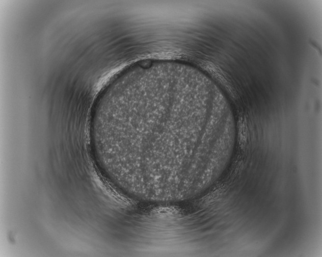 X0000101140536200807251028