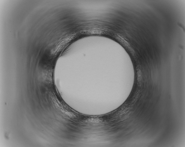 X0000101140537200807251028