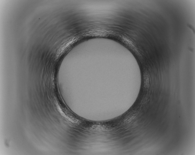 X0000101140538200807251028