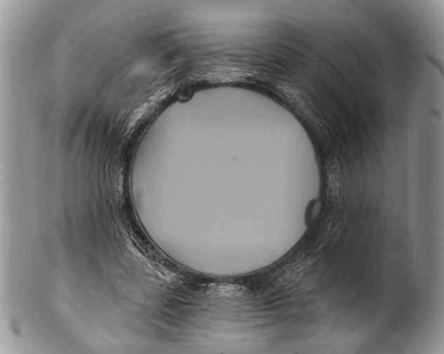 X0000101140539200807251028