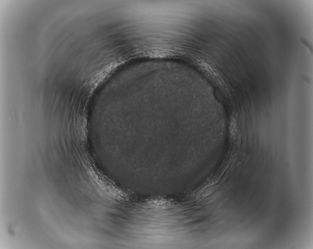 X0000101140540200807251028