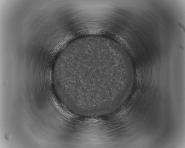 X0000101140542200807251028