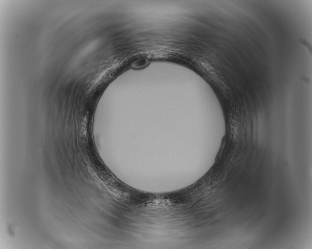 X0000101140543200807251028