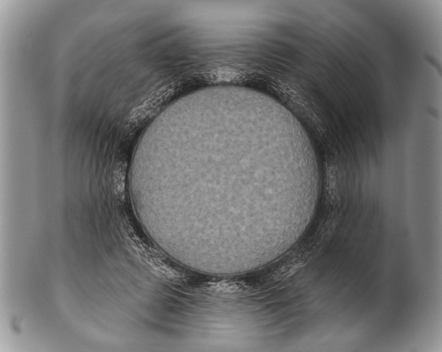 X0000101140545200807251028