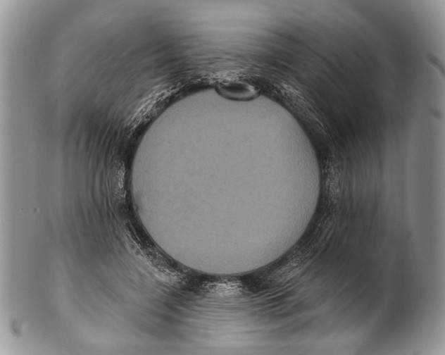 X0000101140548200807251028