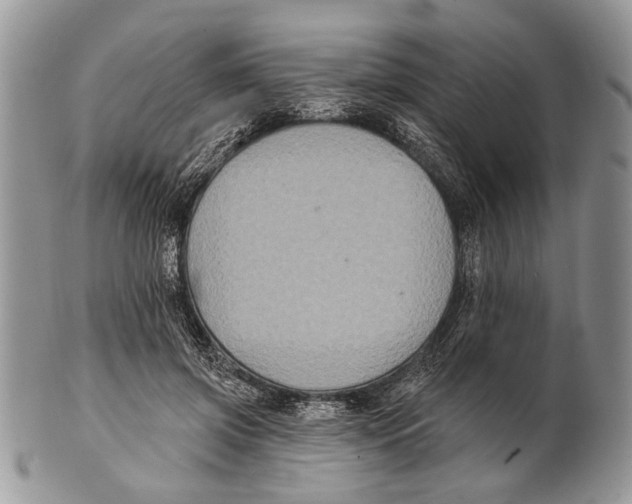 X0000101140549200807251028