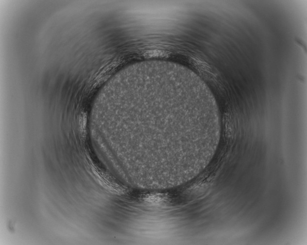 X0000101140550200807251028