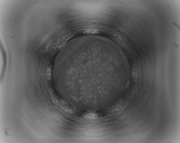 X0000101140551200807251028