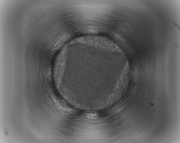 X0000101140552200807251028