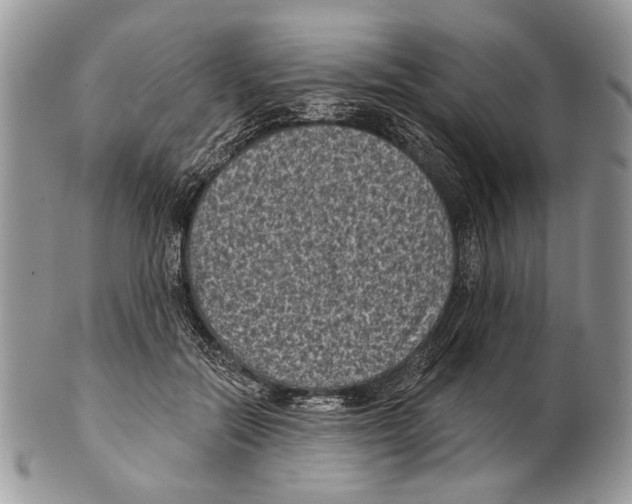 X0000101140554200807251028