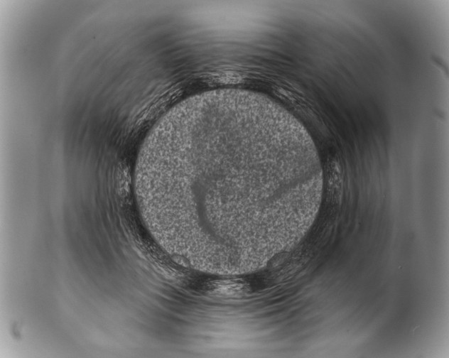 X0000101140555200807251028