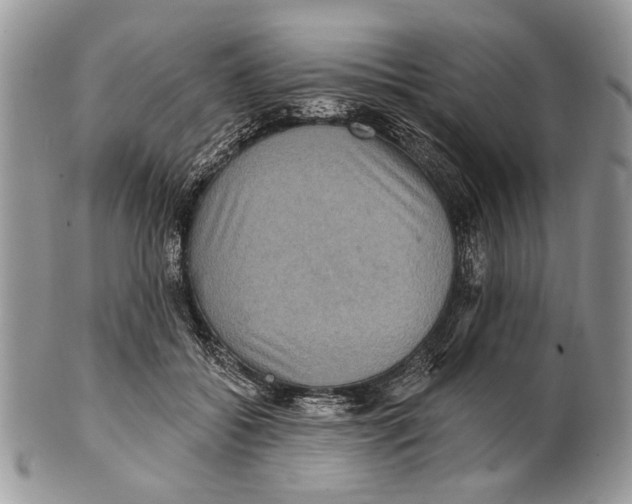 X0000101140556200807251028