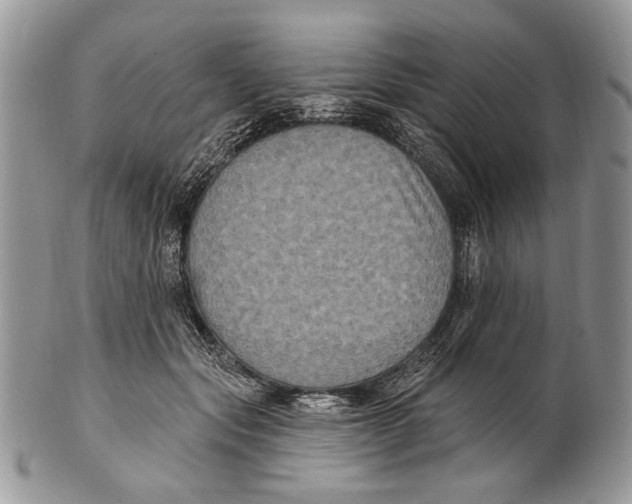 X0000101140557200807251028