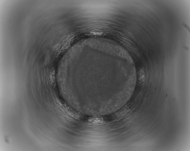 X0000101140559200807251028