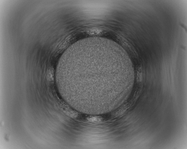 X0000101140561200807251028