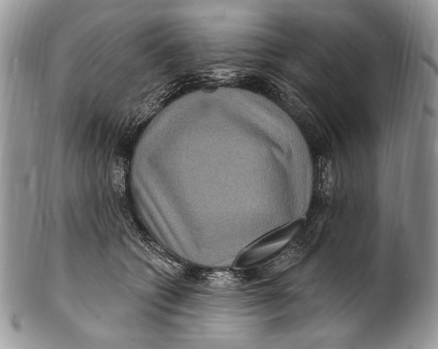 X0000101140562200807251028