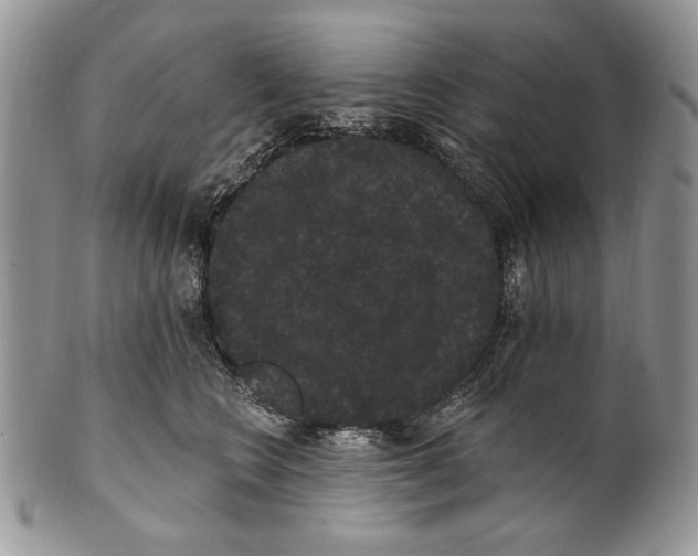 X0000101140566200807251028